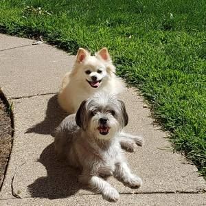 Meet your Posher, Vicky